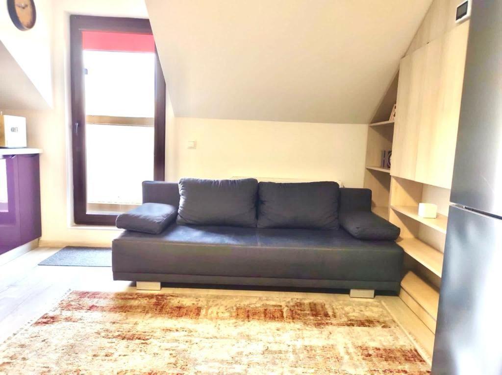 Simona Apartament Palas Mall Iasi Eksteriør billede